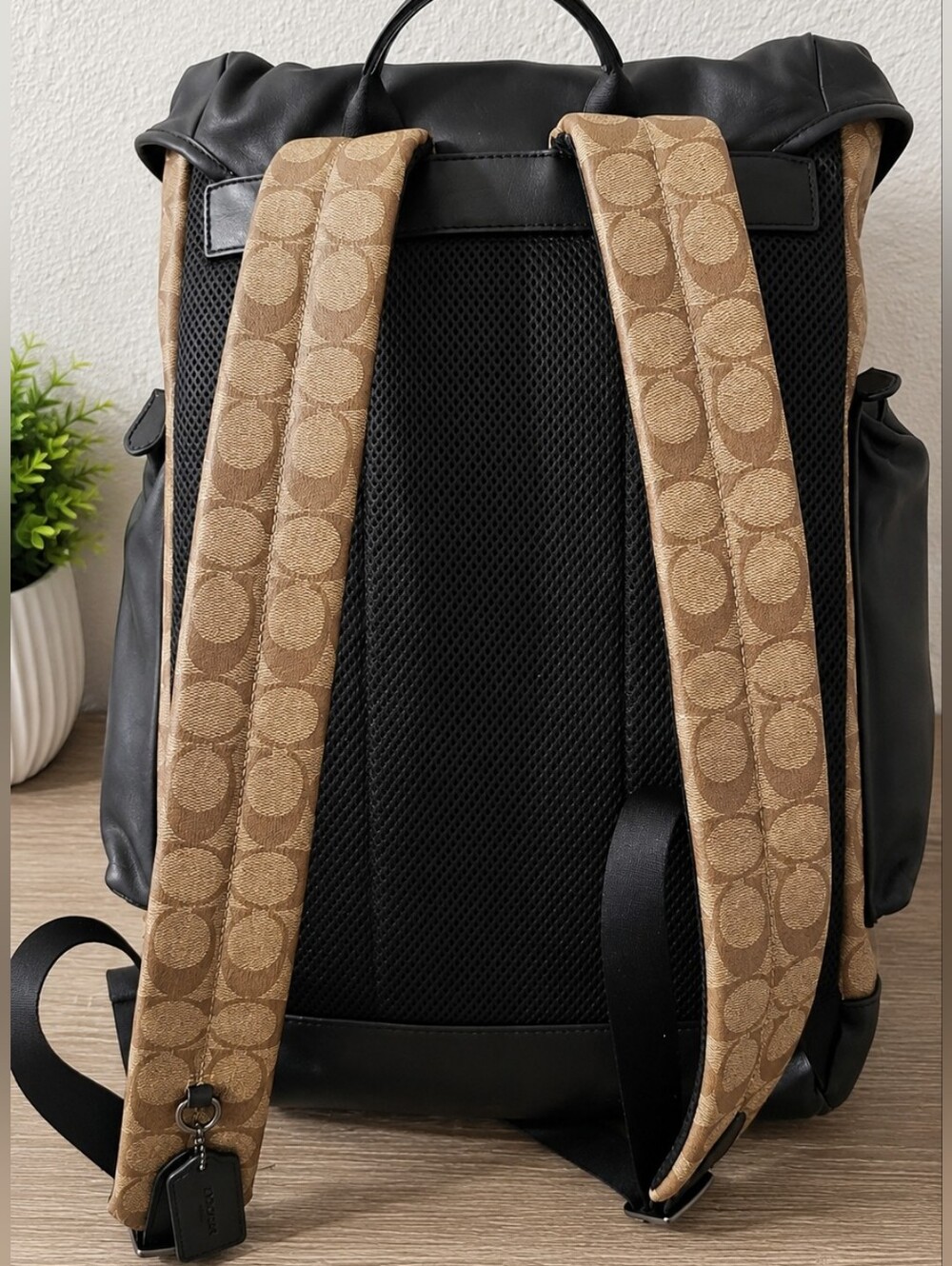 Coach Signature Roll-Top Backpack - Picture 3 of 3